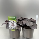 Weekaanbod foto 1