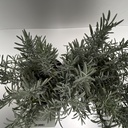 Weekaanbod foto 2