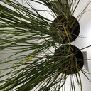 Weekaanbod foto 2