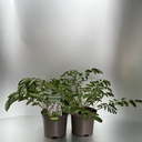 Weekaanbod foto 1