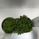 Weekaanbod foto 2