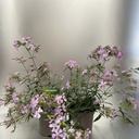 Weekaanbod foto 1