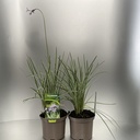 Weekaanbod foto 1