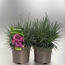 Weekaanbod foto 1